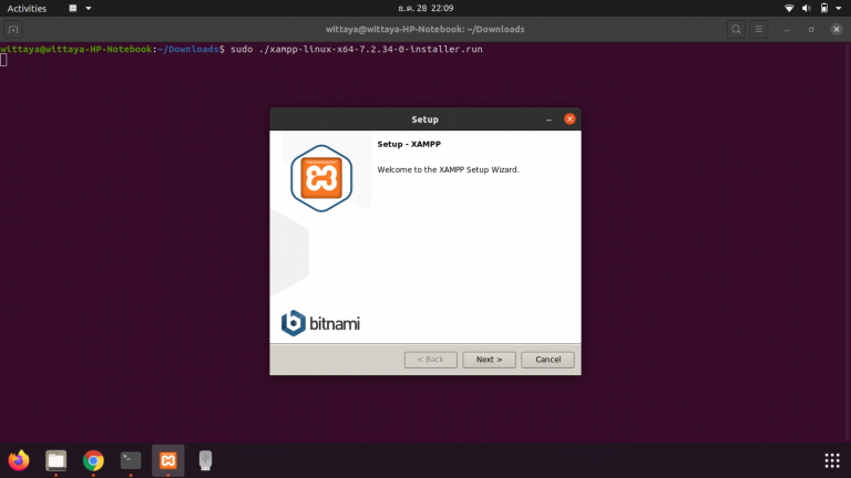 xampp download ubuntu 20.04 xampp download ubuntu 20.04